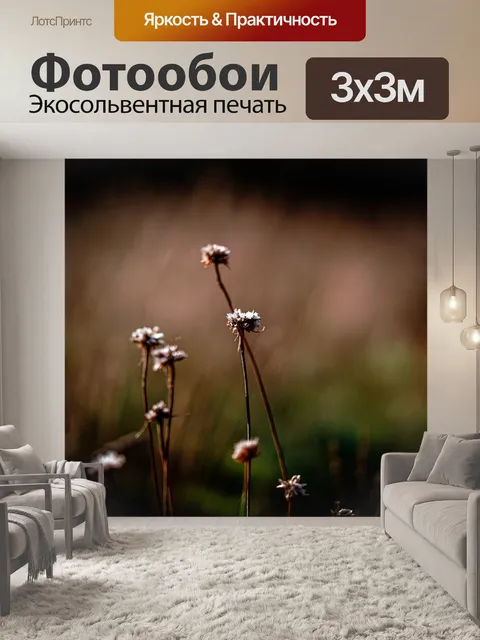 Фотообои Цветы