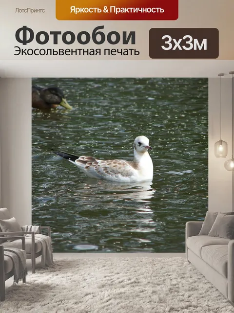 Фотообои Птица