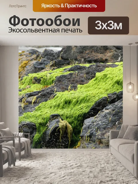 Фотообои Пляж