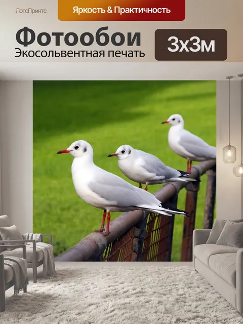 Фотообои Птица