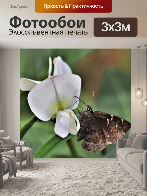 Фотообои Бабочка на Черноглазый Горох Блум