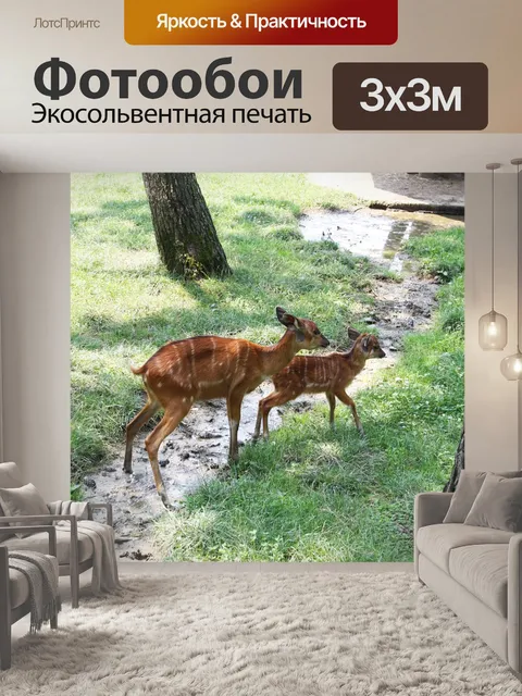 Фотообои Природа