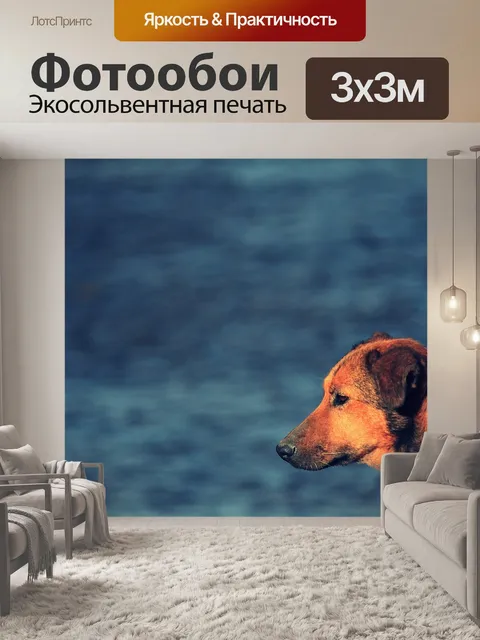 Фотообои Собака
