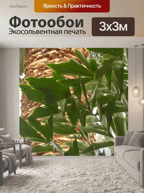 Фотообои Листья