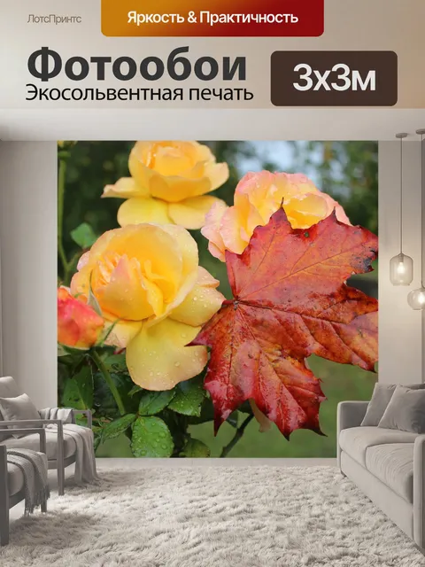 Фотообои Розы