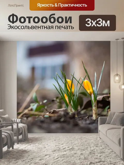 Фотообои Цветы