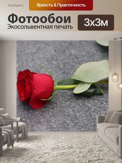 Фотообои Красная роза