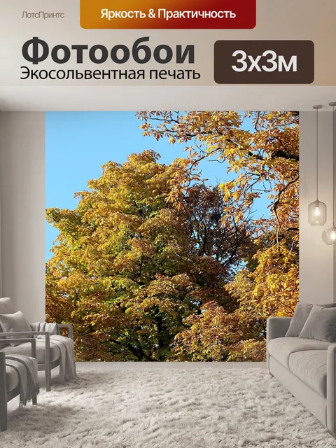 Фотообои Падение
