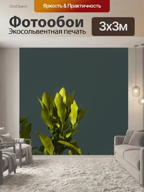 Фотообои Зеленый