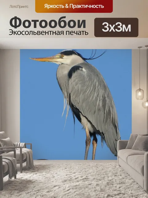 Фотообои Цапля