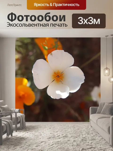 Фотообои Цветы