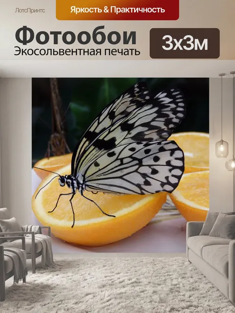 Фотообои Бабочки