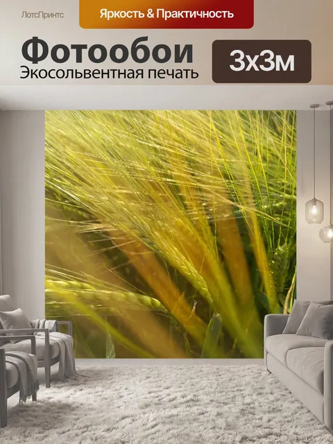 Фотообои Field landscape