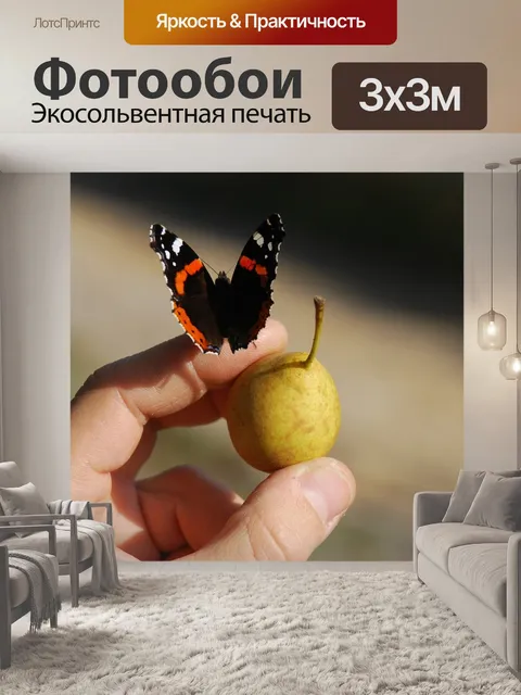 Фотообои Бабочка