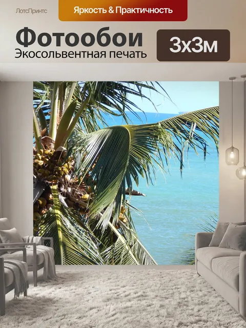 Фотообои Кокосовое дерево