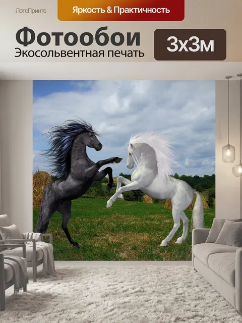 Фотообои Лошади