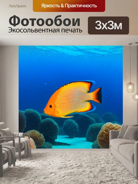 Фотообои разноцветные рыбки под водой, создающие выступающий контраст с голубым фоном