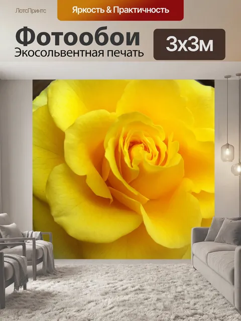 Фотообои Роза