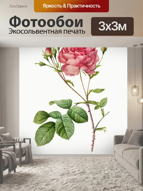 Фотообои Роза цветок винтажное искусство