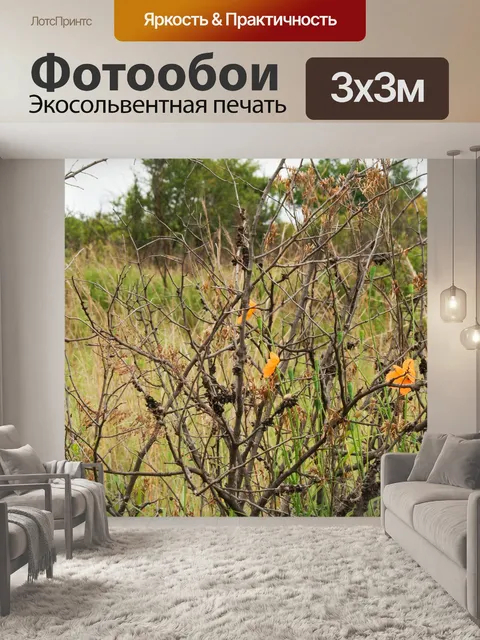 Фотообои оранжевые цветы видны в сухом кусте