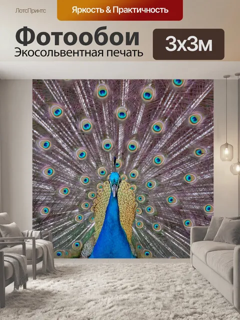 Фотообои Гордый павлин