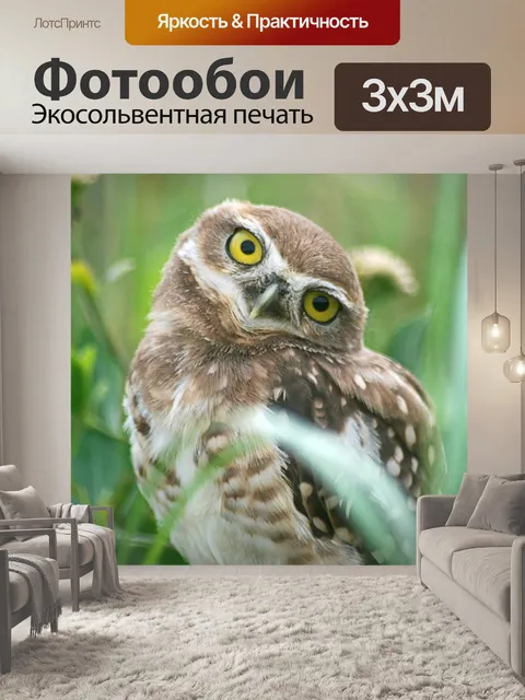 Фотообои Птица