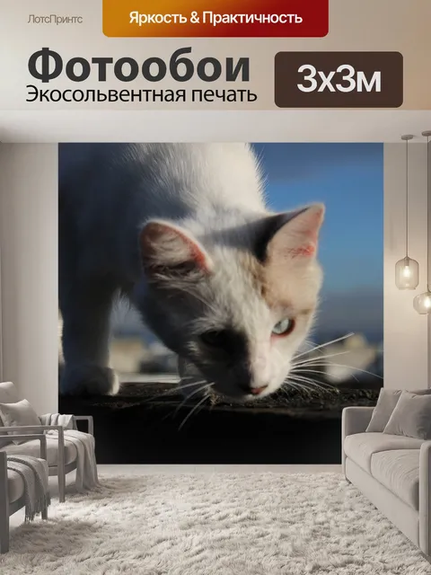 Фотообои Кошки