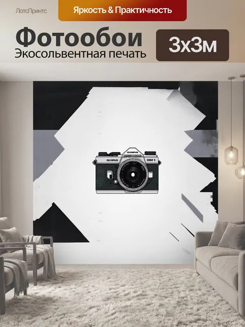 Фотообои минималистическое изображение фотоаппарата olympus om-1