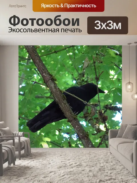 Фотообои Ворона на дереве