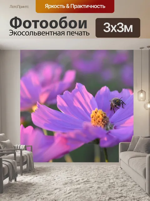 Фотообои Космос
