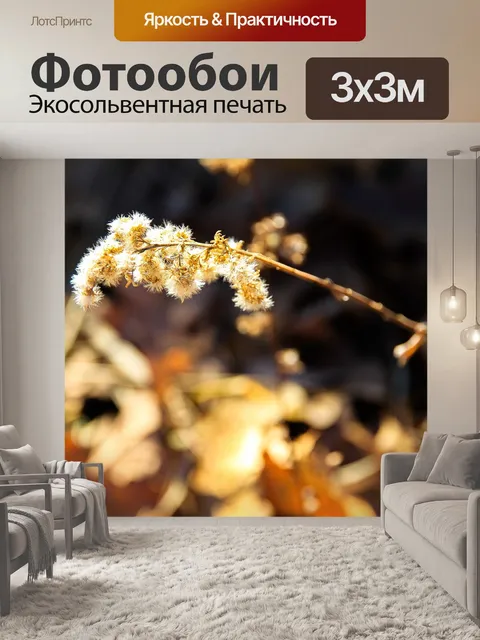 Фотообои Цветок