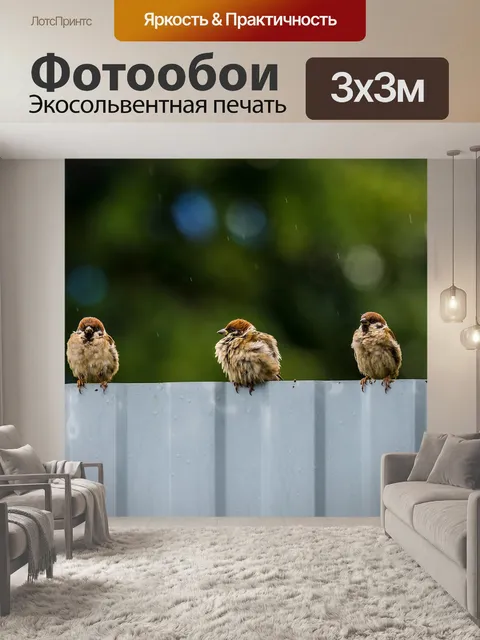 Фотообои Птицы