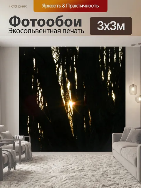 Фотообои Вечер