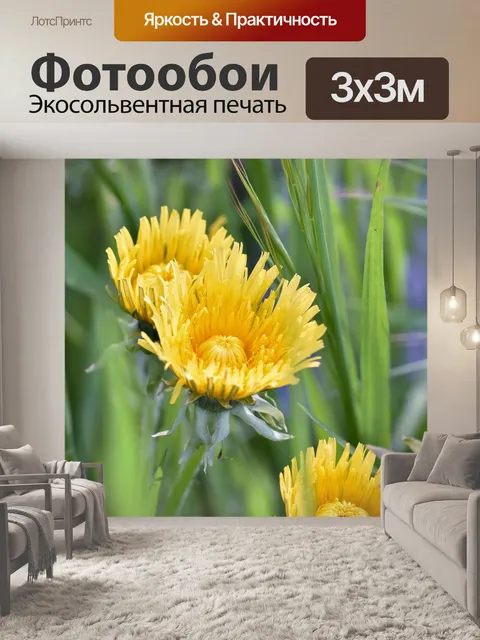 Фотообои Цветок