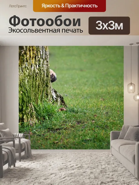 Фотообои Собака