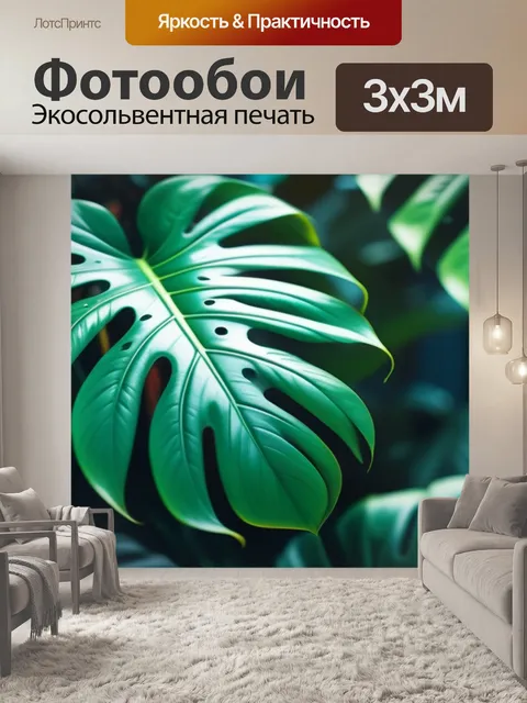 Фотообои с листьями монстеры красивый