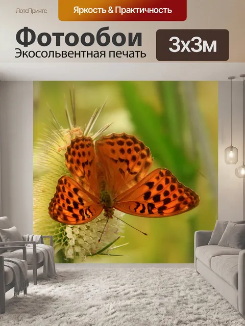 Фотообои Чернить