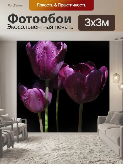 Фотообои Тюльпаны