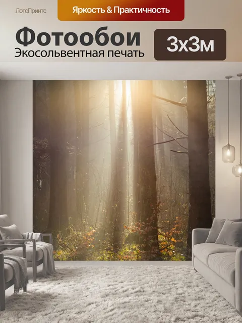 Фотообои Лес