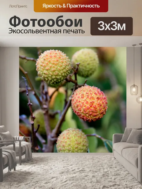 Фотообои Личи