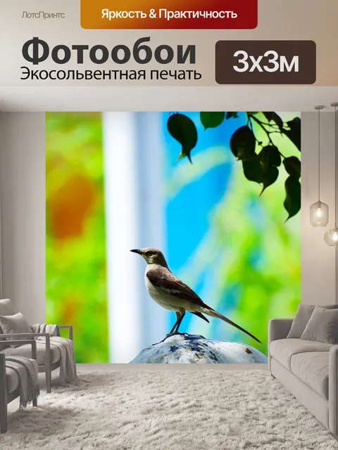 Фотообои Птицы