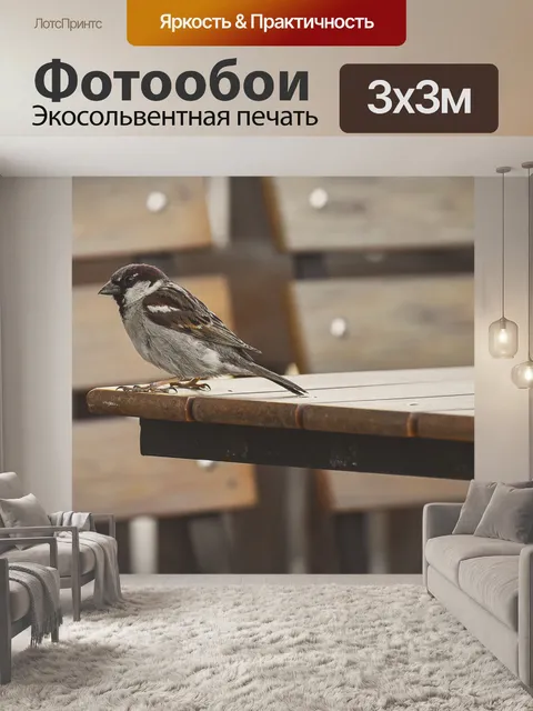Фотообои Птица
