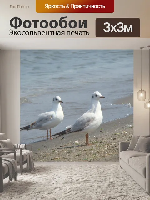 Фотообои Птицы