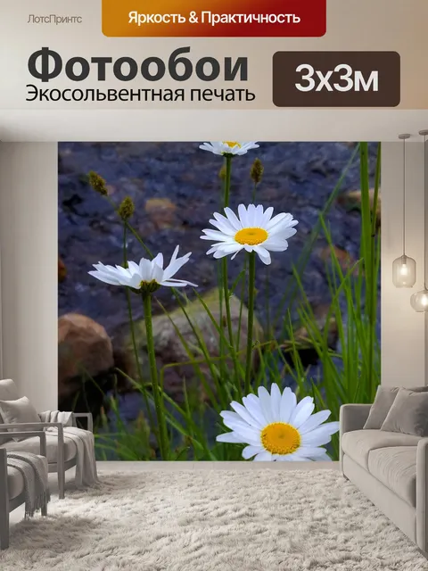 Фотообои Ромашки