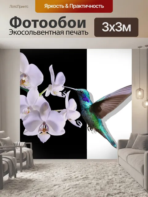 Фотообои Колибри