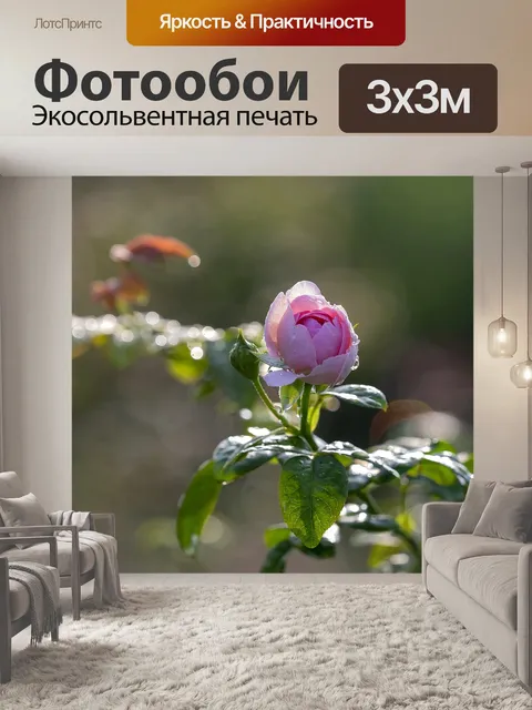 Фотообои Роза