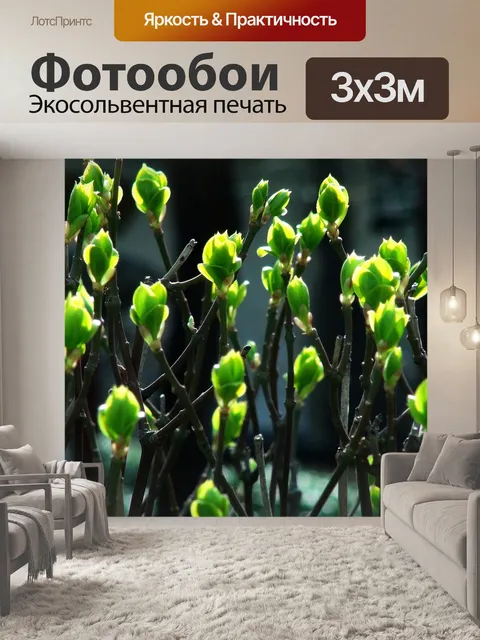 Фотообои Побеги