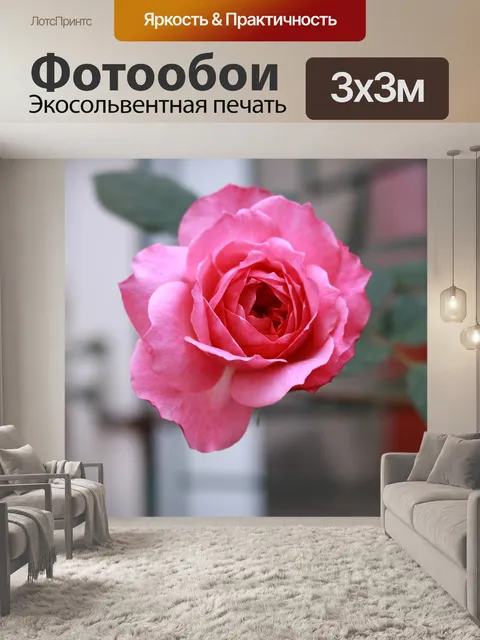 Фотообои Розы