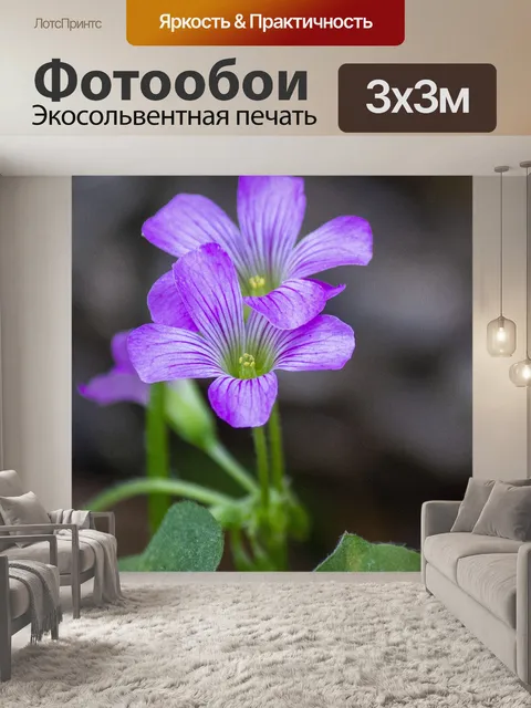 Фотообои Розовые цветы