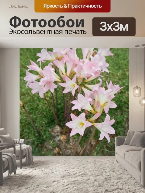 Фотообои Цветы